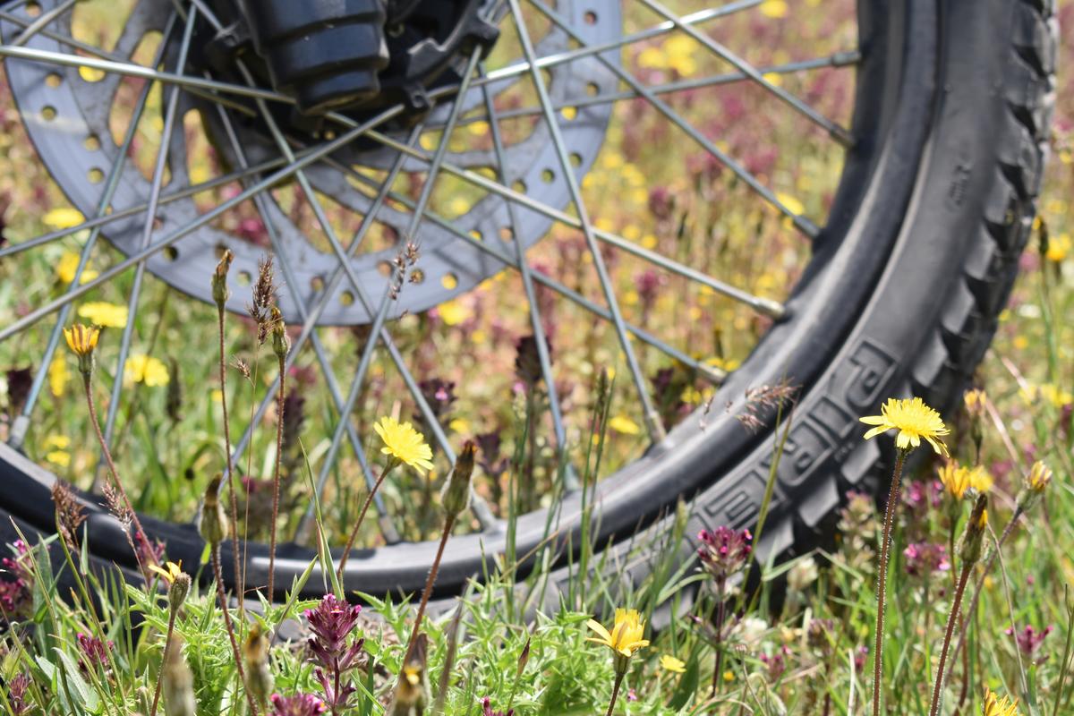 Κάρμα Μπέρτσεν Λινγκ Reloaded