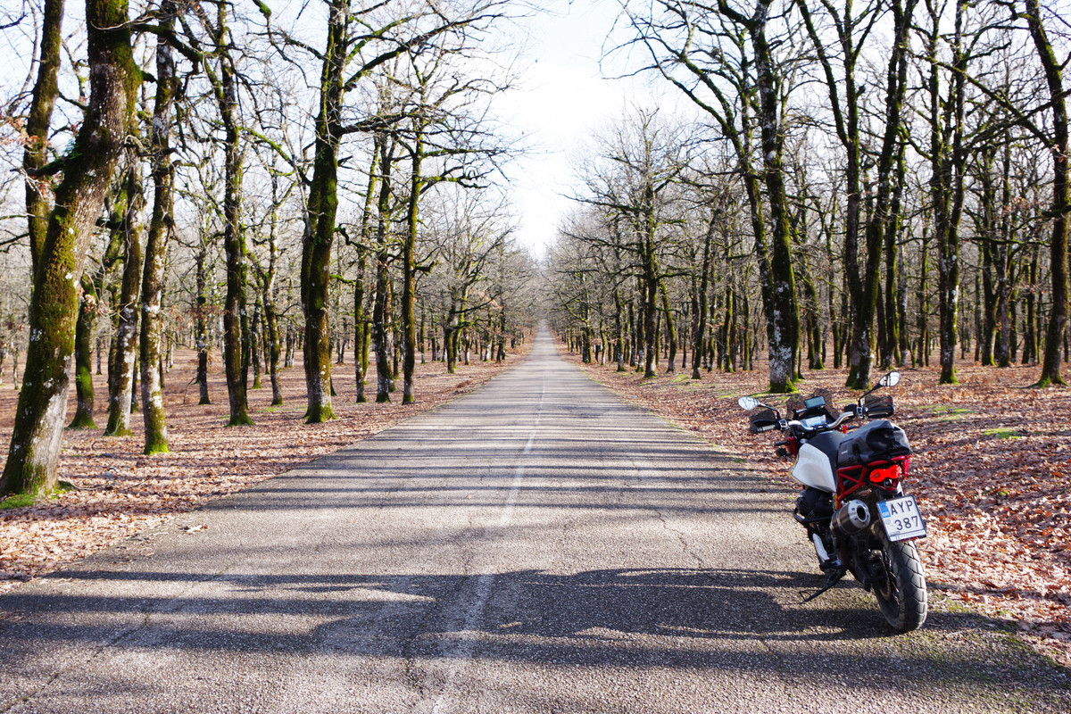 Το τερπνόν μετά του ωφελίμου (moto guzzi v85tt mini review)
