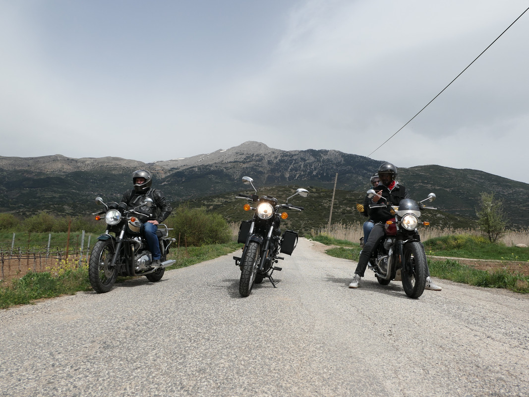 The round headlights