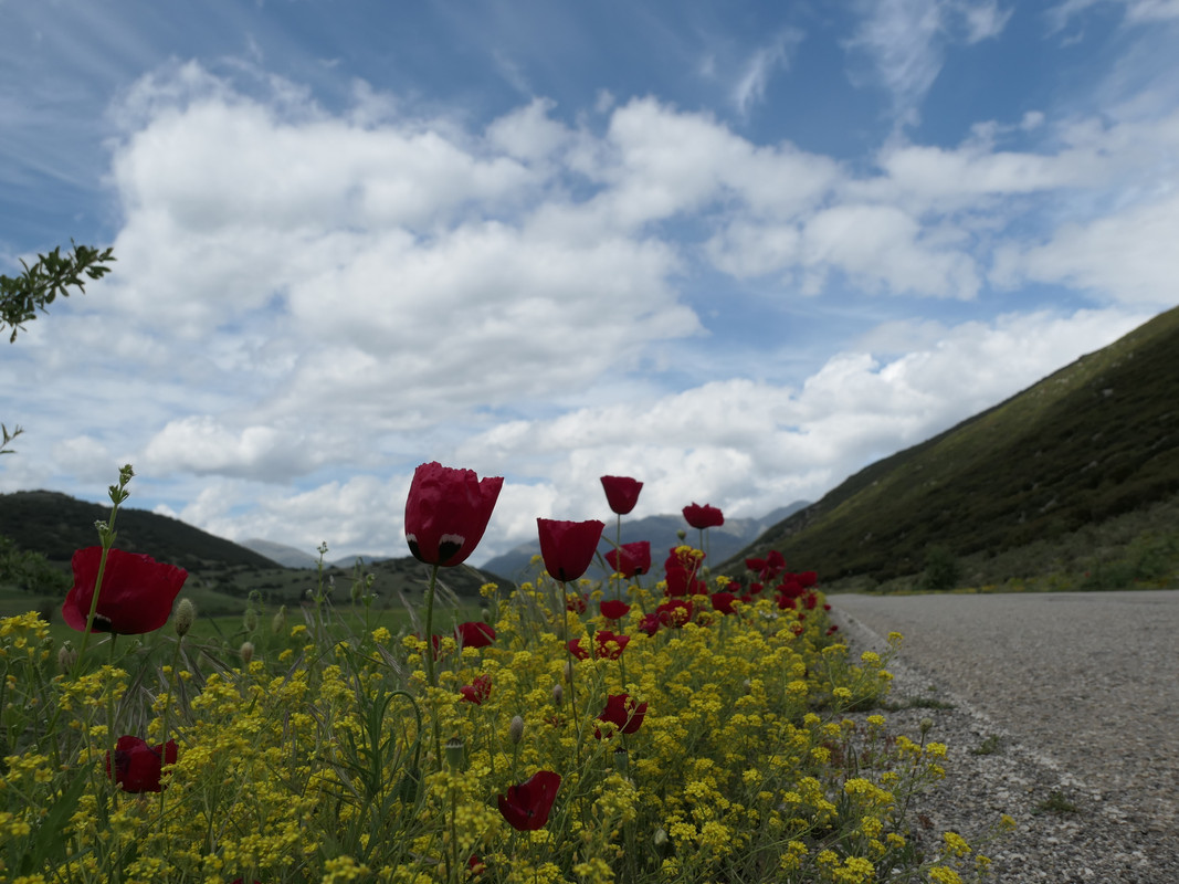 Ένα χαμόγελο στην Ορεινή Κορινθία